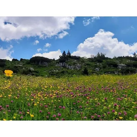 Hébergement de vacances Niedere Comfortable Holiday Grossdorf (Vorarlberg)