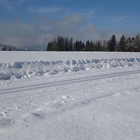Niedere Comfortable Holiday * Grossdorf (Vorarlberg)